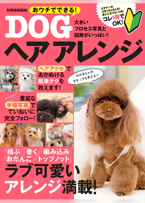 おうちでできる！DOGヘアアレンジ
