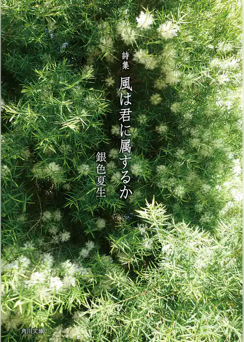 詩集 風は君に属するか