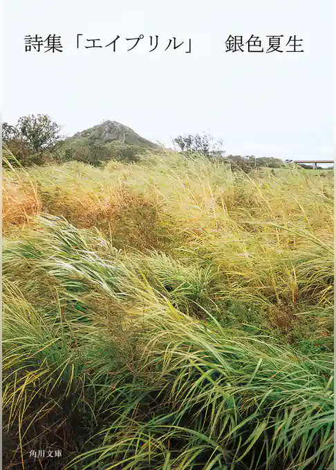 【写真詩集】詩集　エイプリル