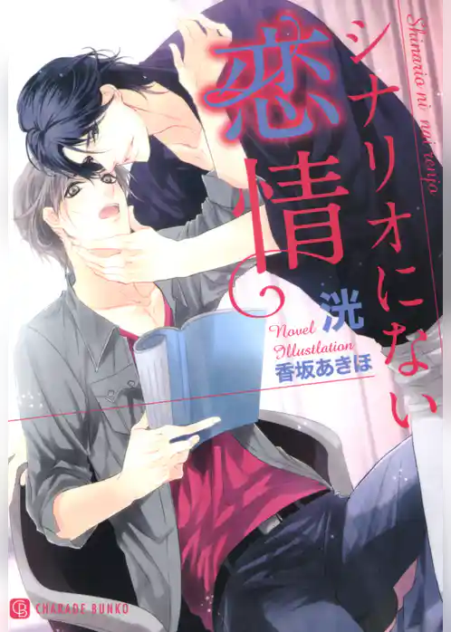 シナリオにない恋情　特別版