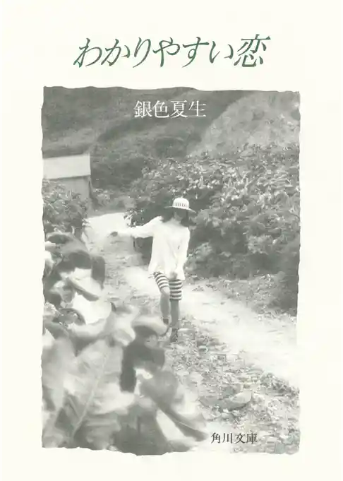 【写真詩集】わかりやすい恋