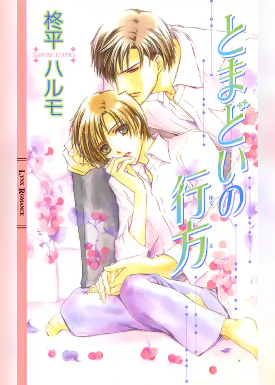 とまどいの行方