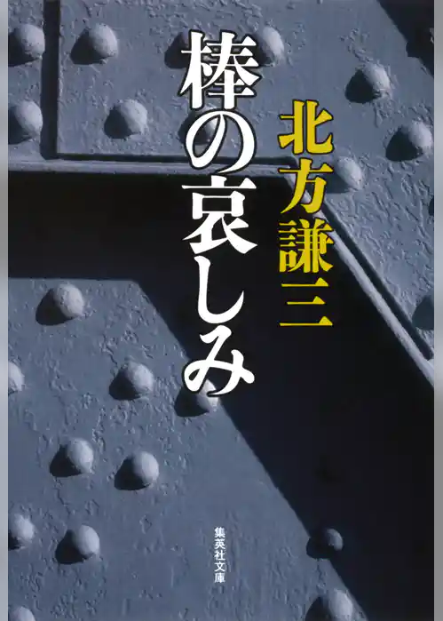 棒の哀しみ