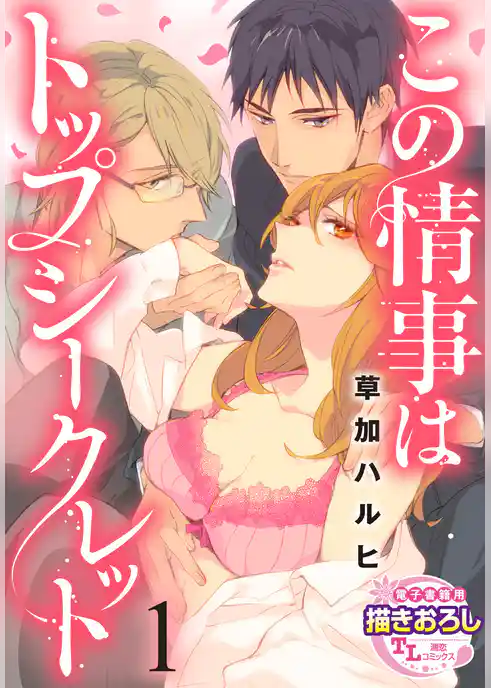 この情事はトップシークレット