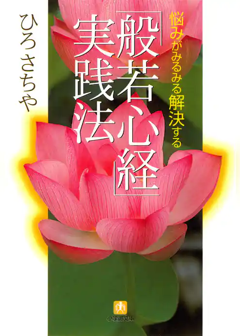 般若心経実践法（小学館文庫）