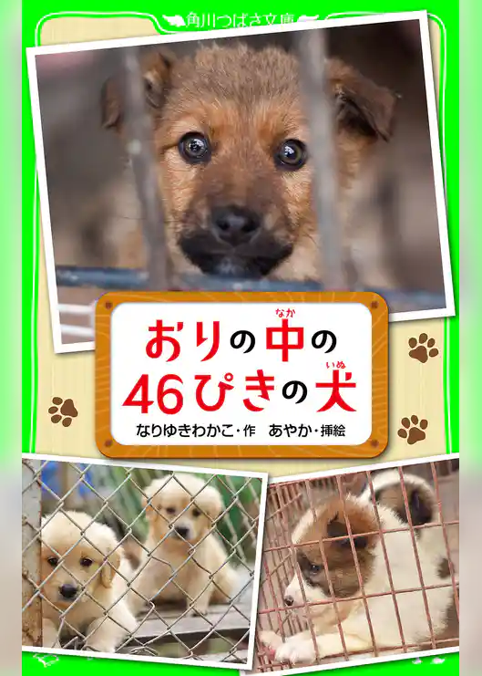 おりの中の４６ぴきの犬