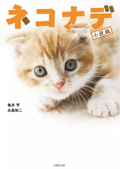 ネコナデ［小説版］