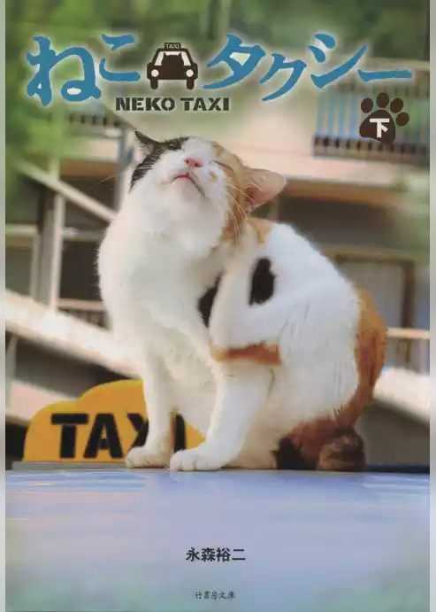 ねこタクシー