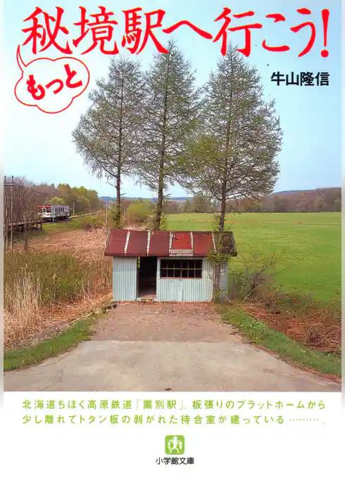 もっと秘境駅へ行こう！（小学館文庫）