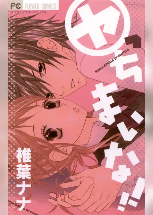 ヤっちまいな！！