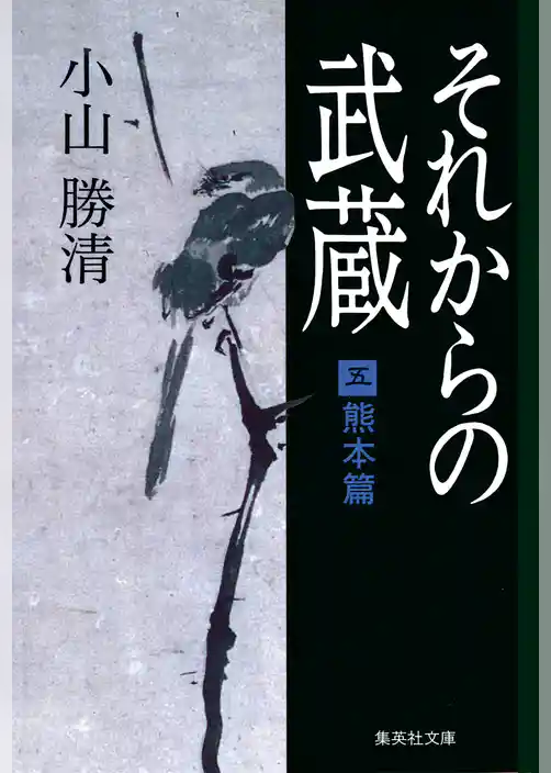 それからの武蔵（五）熊本篇