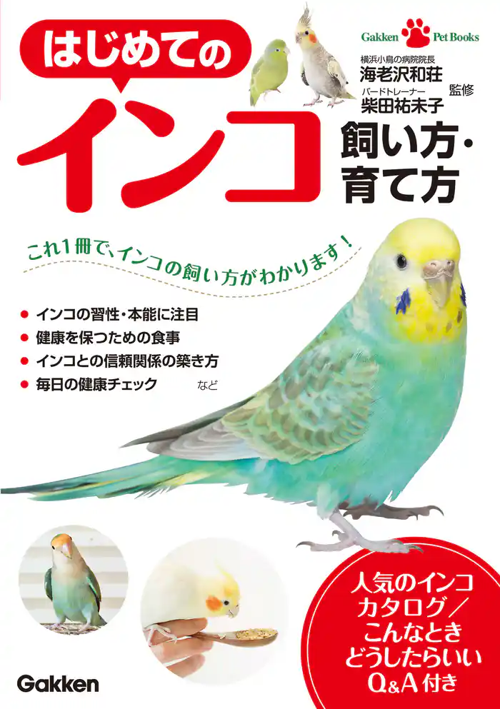 はじめてのインコ 飼い方・育て方