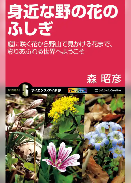 身近な野の花のふしぎ　庭に咲く花から野山で見かける花まで、彩りあふれる世界へようこそ