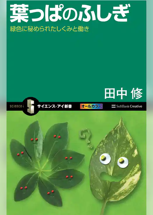 葉っぱのふしぎ