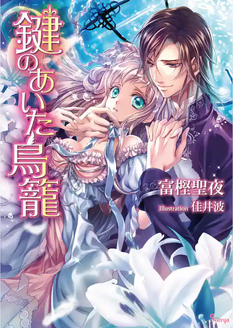 鍵のあいた鳥籠