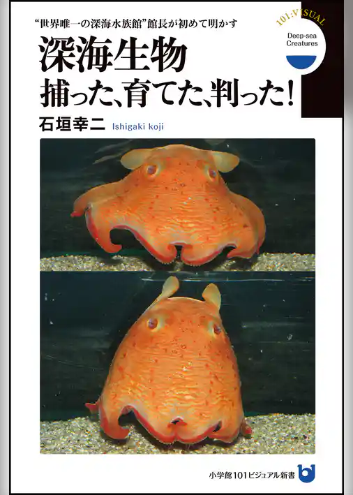 深海生物　捕った、育てた、判った！　“世界唯一の深海水族館”館長が初めて明かす（小学館101ビジュアル新書）