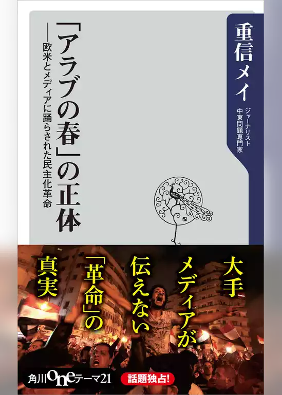 「アラブの春」の正体　欧米とメディアに踊らされた民主化革命