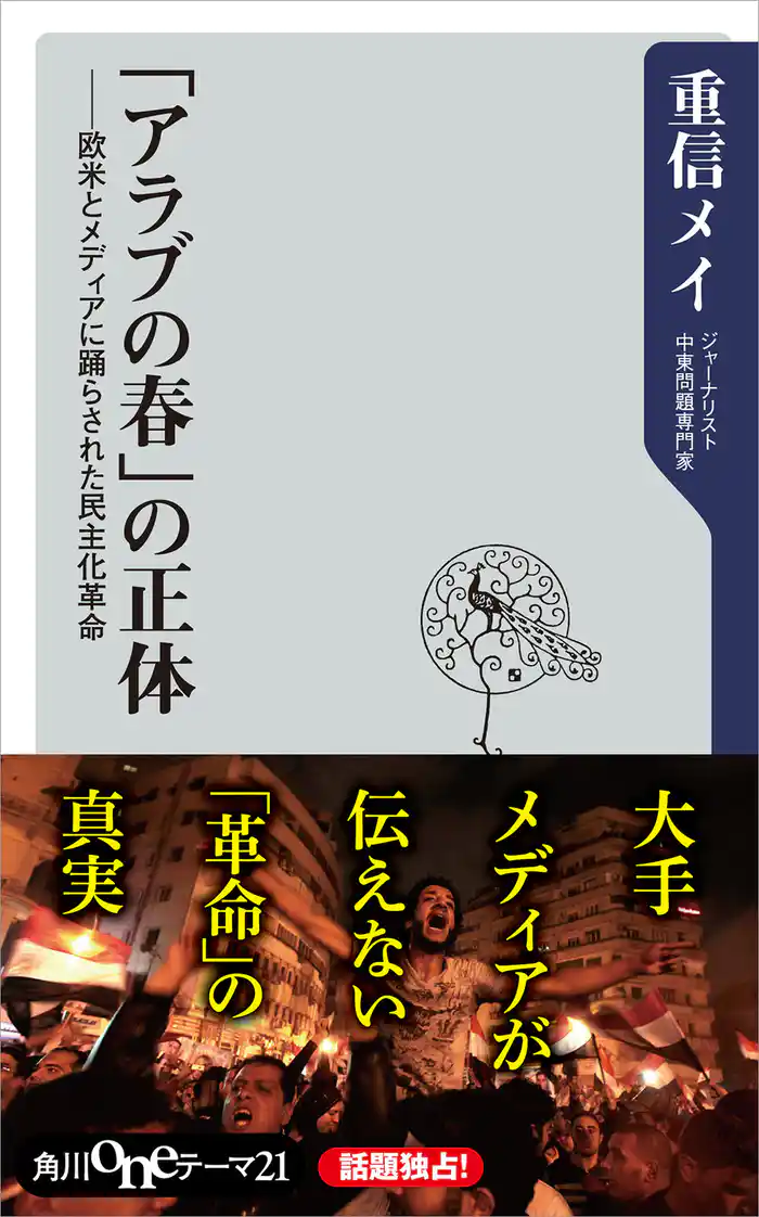 「アラブの春」の正体　欧米とメディアに踊らされた民主化革命