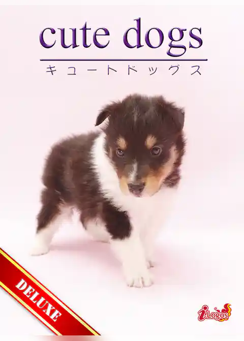 cute dogs DELUXE01 シェットランド・シープドッグ