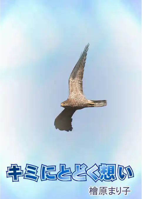 キミにとどく想い