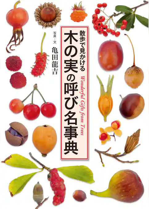 木の実の呼び名事典