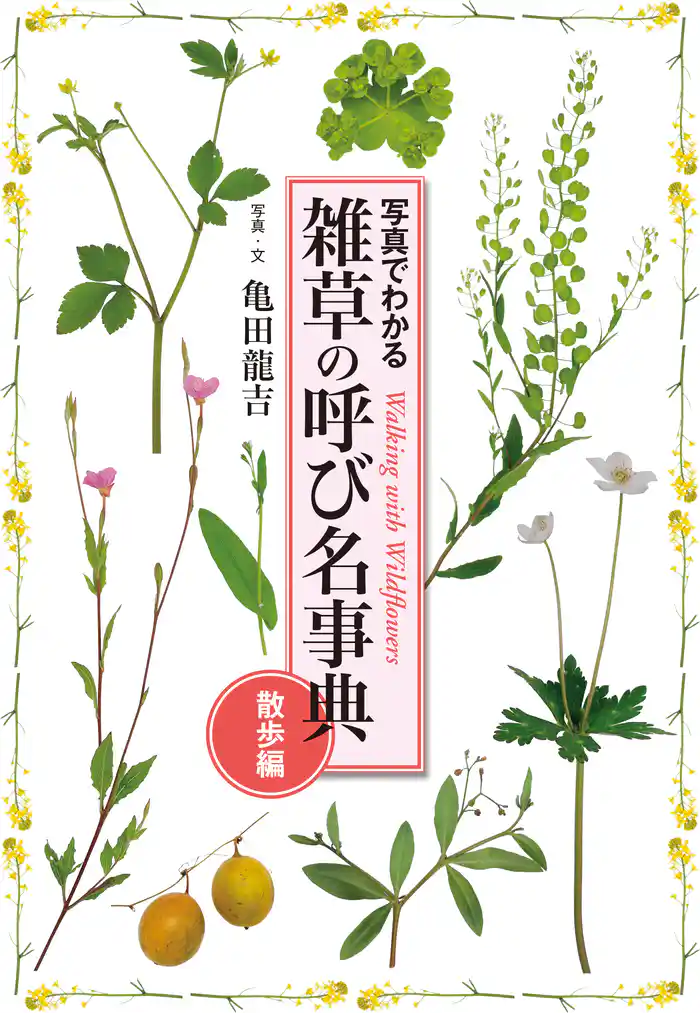 雑草の呼び名事典 散歩編 写真でわかる