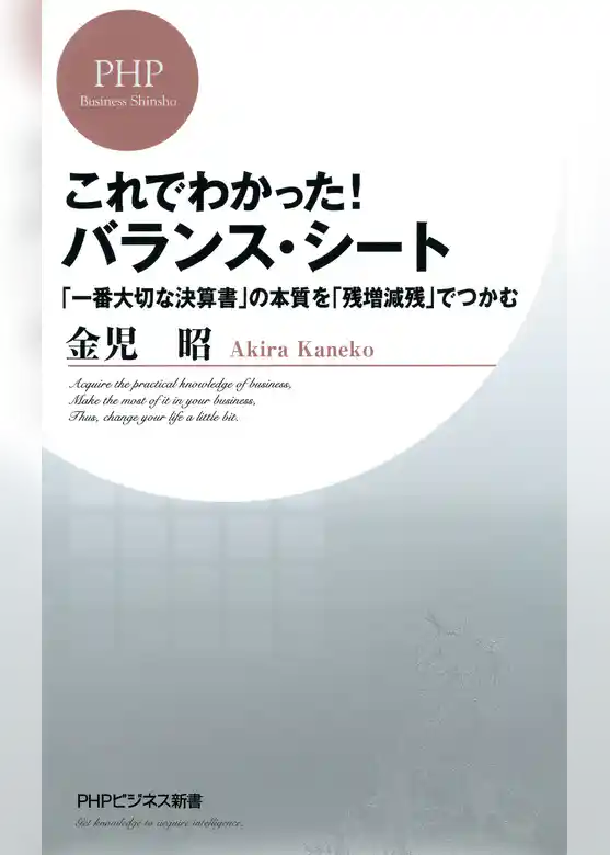 これでわかった！バランス・シート