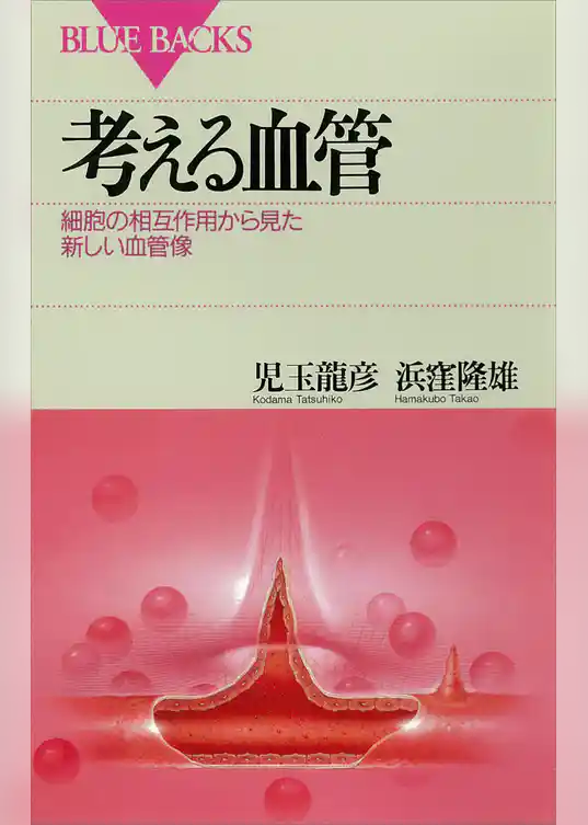 考える血管　細胞の相互作用から見た新しい血管像