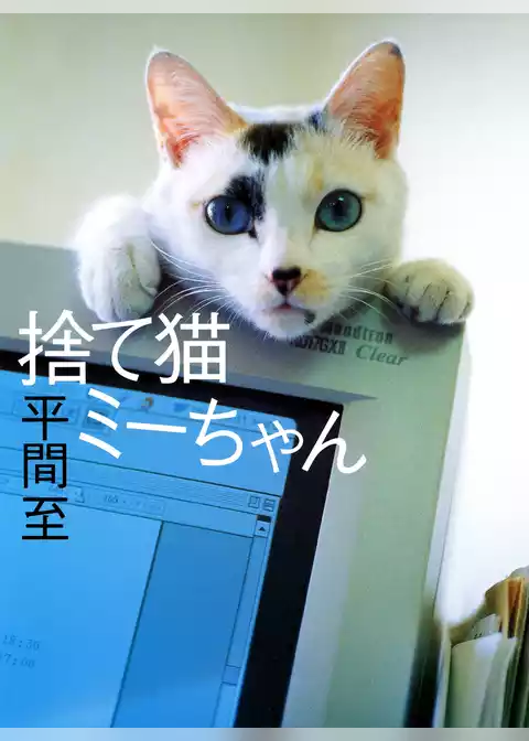 捨て猫ミーちゃん