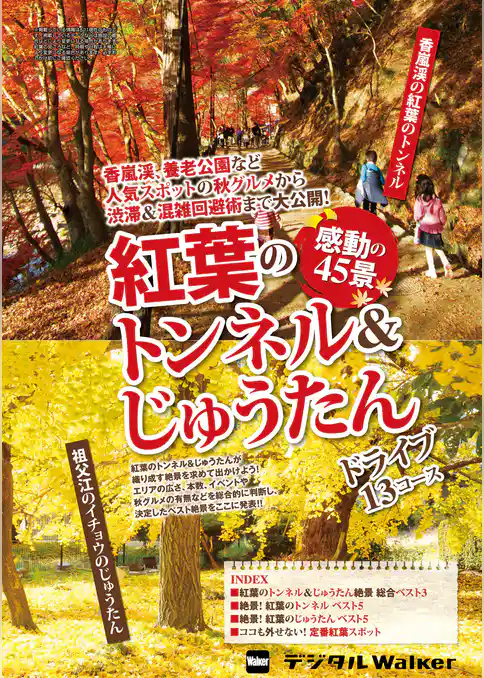 東海ウォーカー特別編集　紅葉のトンネル&じゅうたん感動の45景