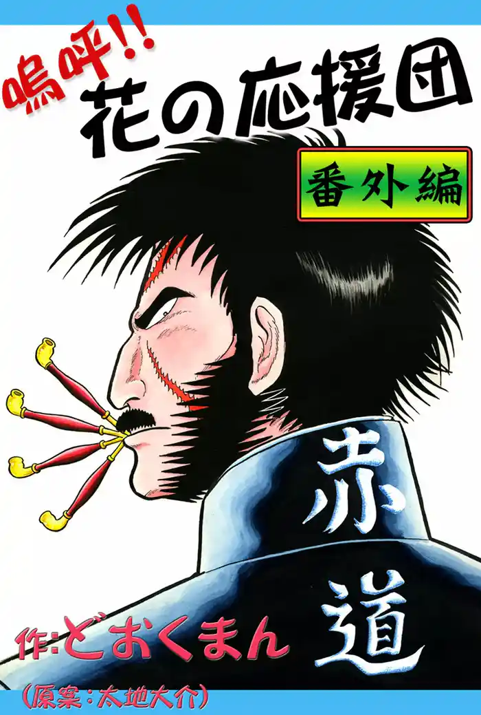 嗚呼!! 花の応援団 番外編