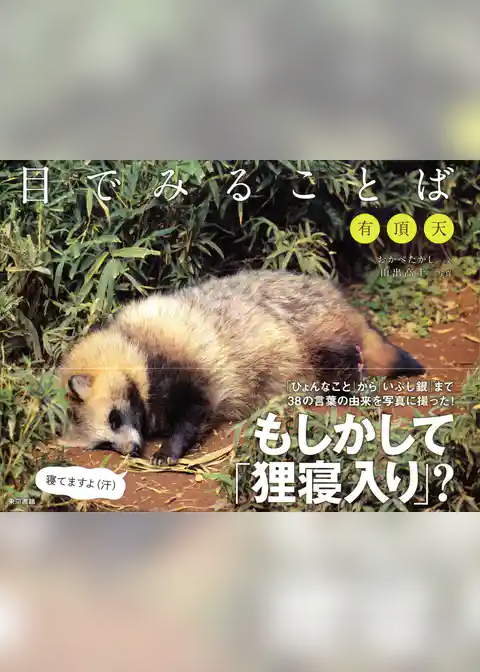 目でみることば