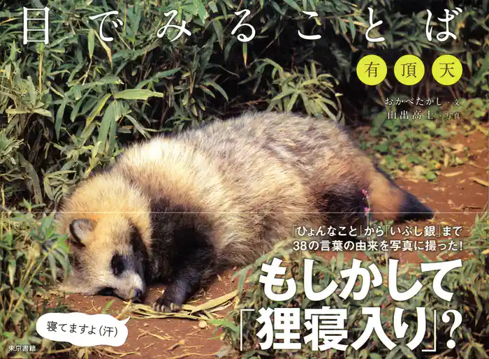 目でみることば 有頂天