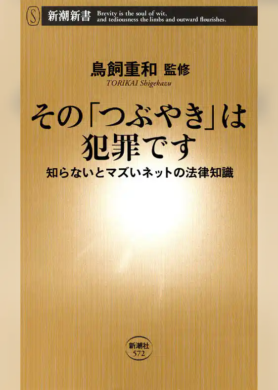 その「つぶやき」は犯罪です―知らないとマズいネットの法律知識―