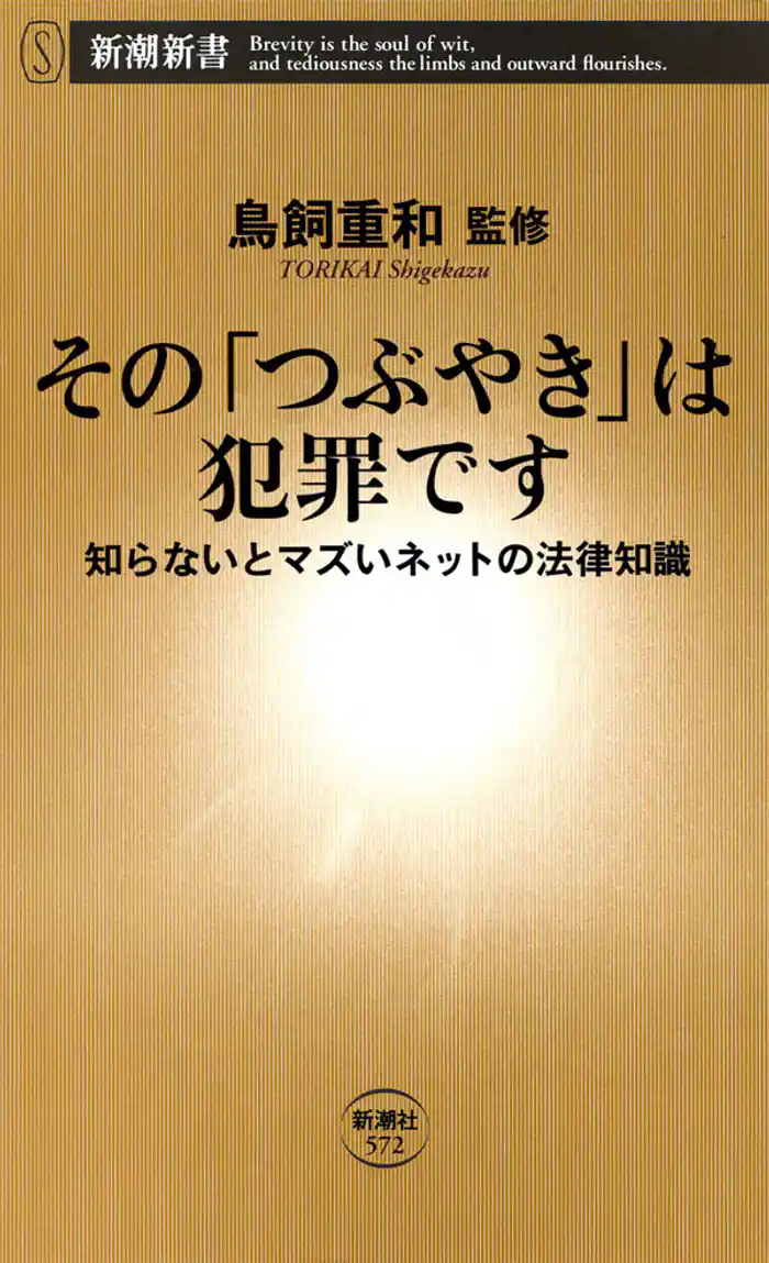 その「つぶやき」は犯罪です―知らないとマズいネットの法律知識―