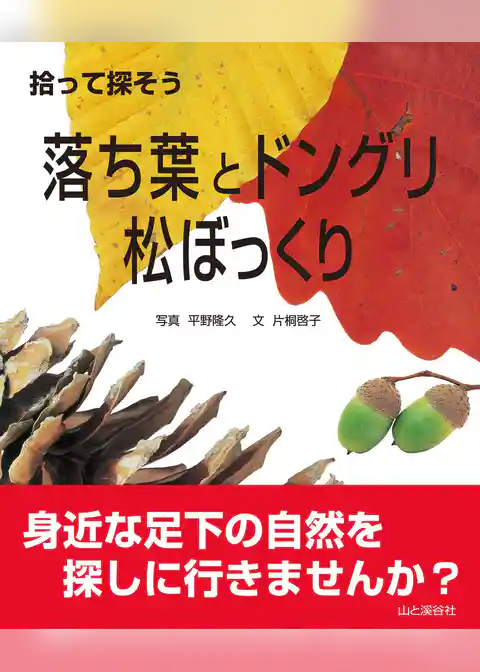 拾って探そう　落ち葉とドングリ・松ぼっくり