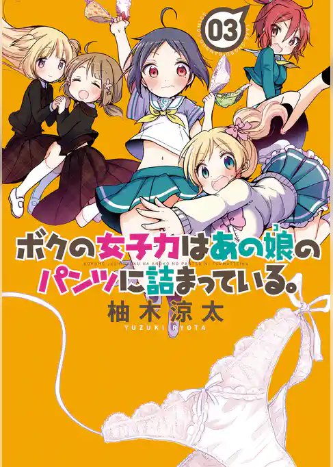 ボクの女子力はあの娘のパンツに詰まっている。