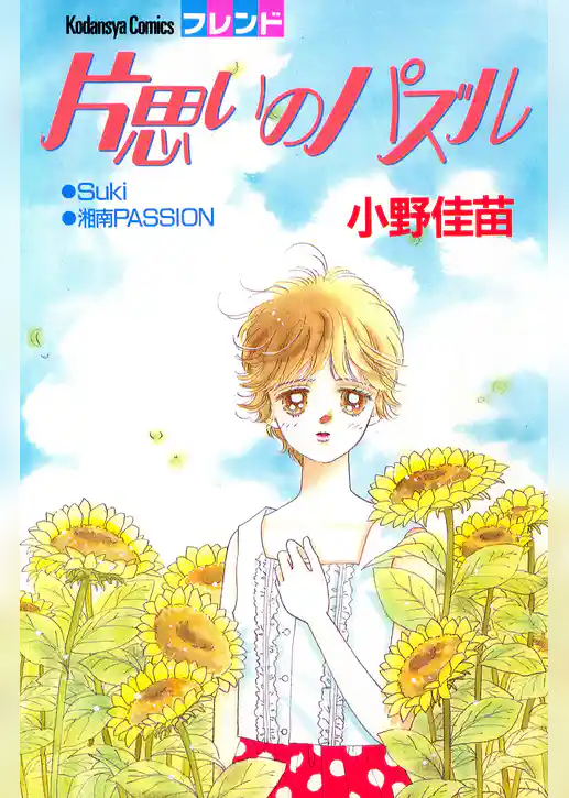 片思いのパズル