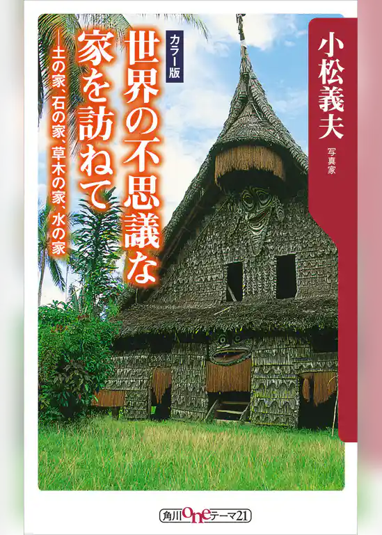 世界の不思議な家を訪ねて　――土の家、石の家、草木の家、水の家