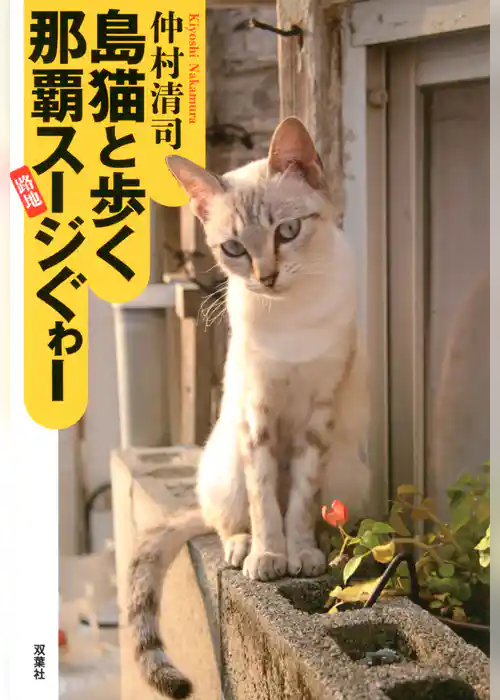 島猫と歩く那覇スージぐゎー