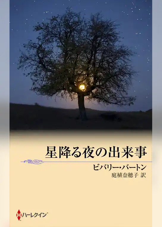 星降る夜の出来事