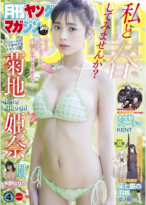 月刊ヤングマガジン