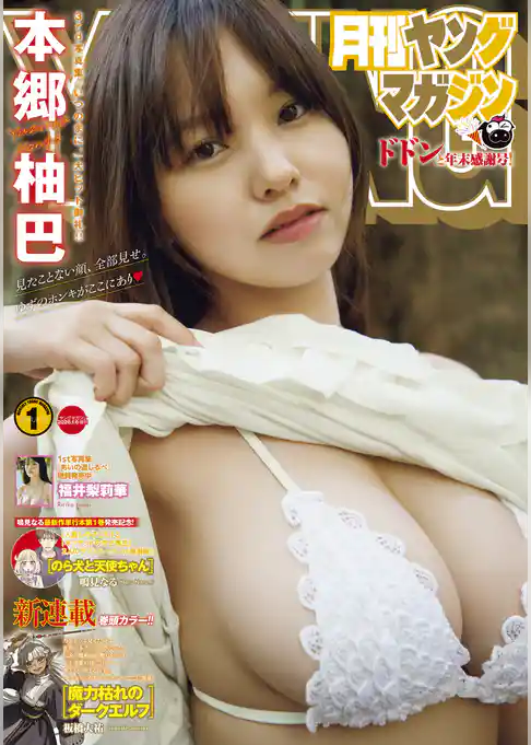 月刊ヤングマガジン