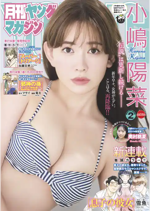 月刊ヤングマガジン