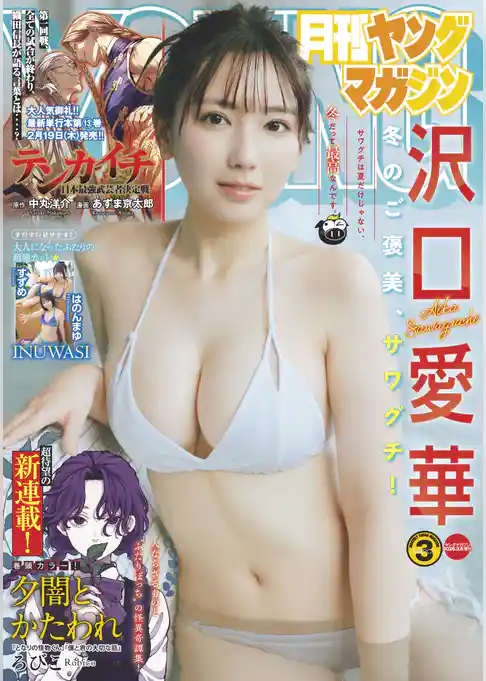 月刊ヤングマガジン