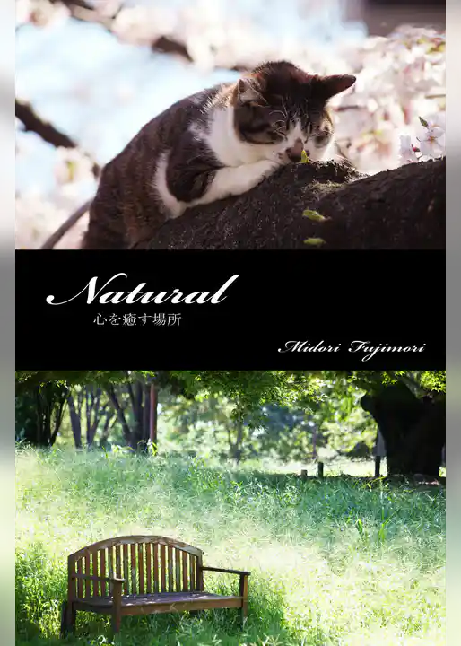 Natural　心を癒す場所