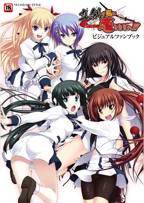 真剣で私に恋しなさい！ ビジュアルファンブック