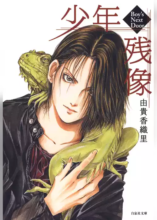 少年残像 -Boy’s Next Door-