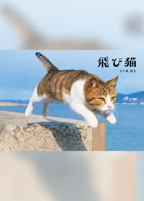 飛び猫