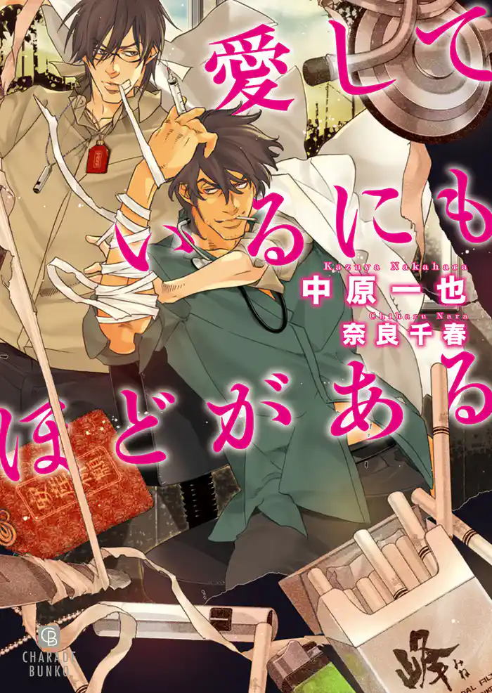 愛しているにもほどがある